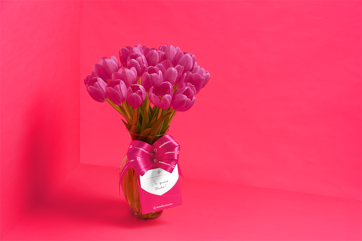深圳VI设计  深圳VI策划  Enviaflores花卉商店VI形象设计  包装设计