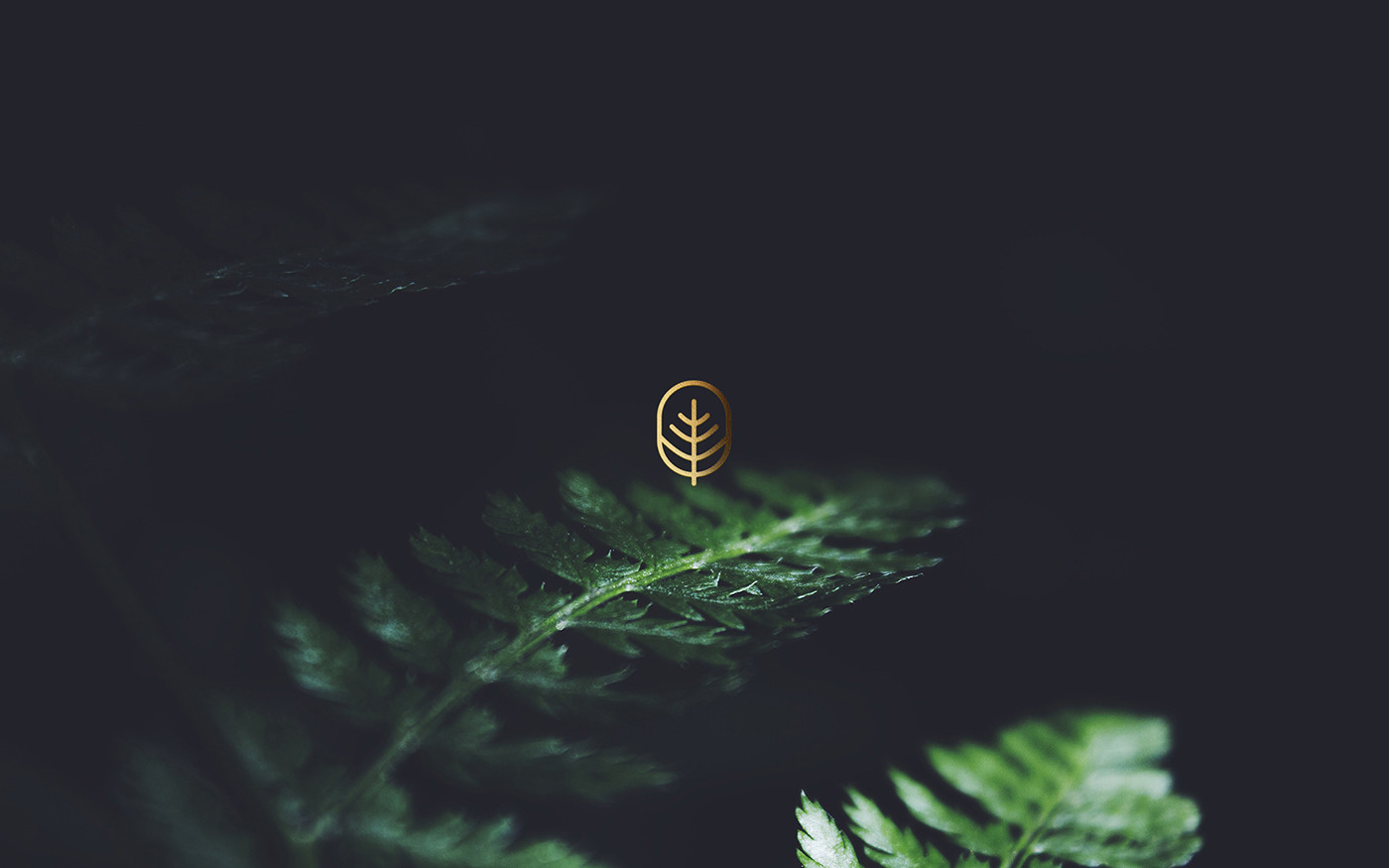 著名国外医疗机构vi设计——企业logo识别系统展示，医疗企业vi设计，企业logo设计，品牌策划，深圳vi设计，左右格局