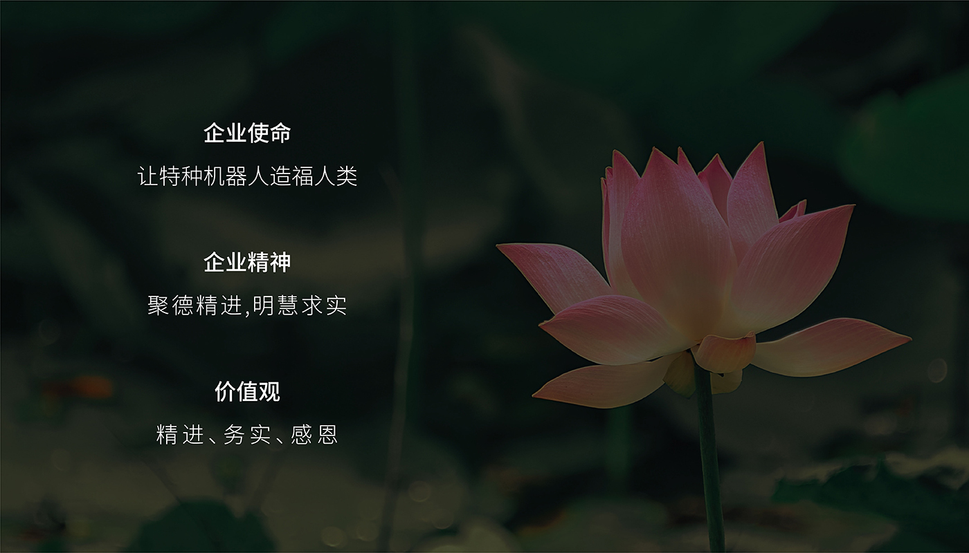 施罗德品牌战略升级纪实：智慧科技行业IPO前的品牌战略解码